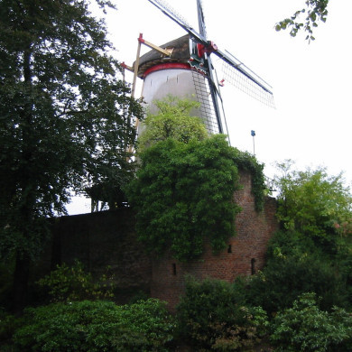 Rijksdienst voor het Cultureel Erfgoed: Terpstra, Frank
