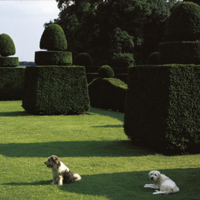 Rijksdienst voor het Cultureel Erfgoed: Heuff M. (Marijke)