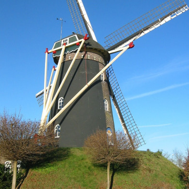Rijksdienst voor het Cultureel Erfgoed: Terpstra, Frank