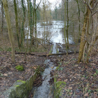 Rijksdienst voor het Cultureel Erfgoed: Lensvelt, Natascha