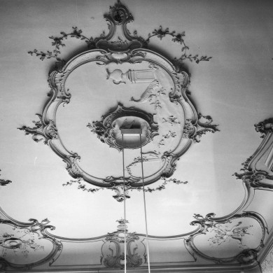 Rijksdienst voor het Cultureel Erfgoed: Delemarre, G.Th.