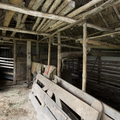 Rijksdienst voor het Cultureel Erfgoed: Booms, C.S. (Chris)
