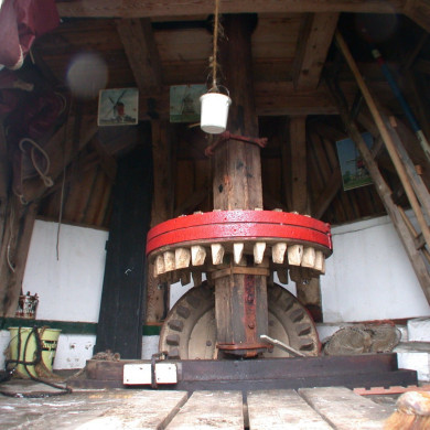 Rijksdienst voor het Cultureel Erfgoed: Terpstra, Frank