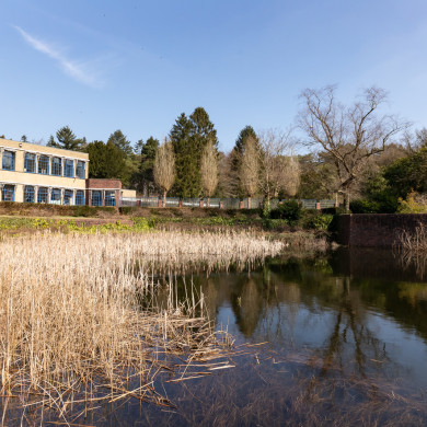 Rijksdienst voor het Cultureel Erfgoed: Sekuur, Mark