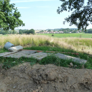 Rijksdienst voor het Cultureel Erfgoed: Bers, Mieke