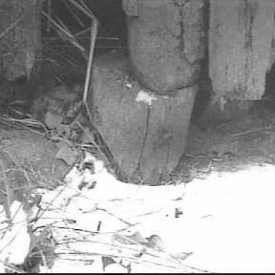 Rijksdienst voor het Cultureel Erfgoed: Vries, M. de