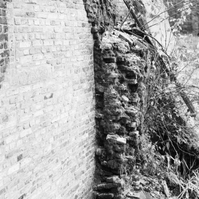 Rijksdienst voor het Cultureel Erfgoed: Dijkstra