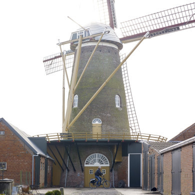 Rijksdienst voor het Cultureel Erfgoed: Technau, Sergé