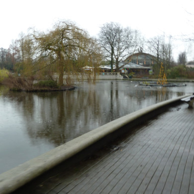 Rijksdienst voor het Cultureel Erfgoed: Bogers, Guido