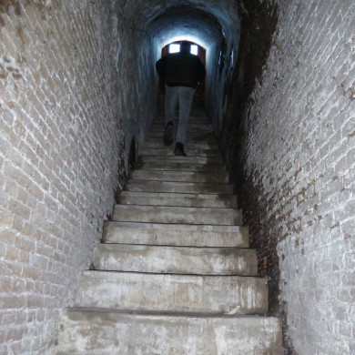 Rijksdienst voor het Cultureel Erfgoed: Bogers, Guido