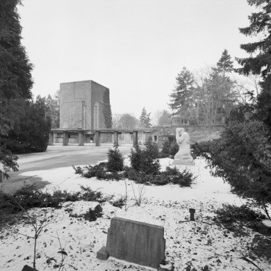 Rijksdienst voor het Cultureel Erfgoed: Heins, IJ.Th.