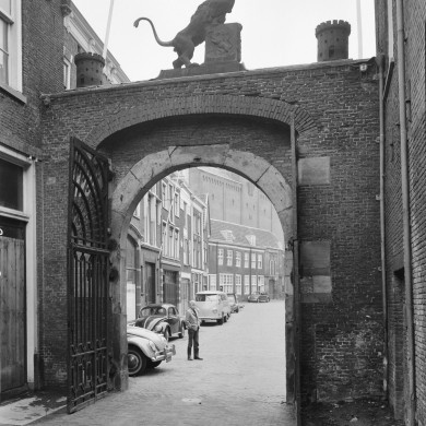 Rijksdienst voor het Cultureel Erfgoed: Delemarre, G.Th.