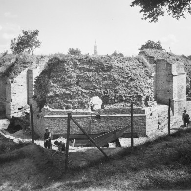 Rijksdienst voor het Cultureel Erfgoed: Delemarre, G.Th.