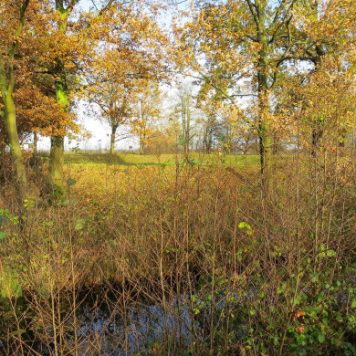 Rijksdienst voor het Cultureel Erfgoed: Brinkkemper, O. (Otto)