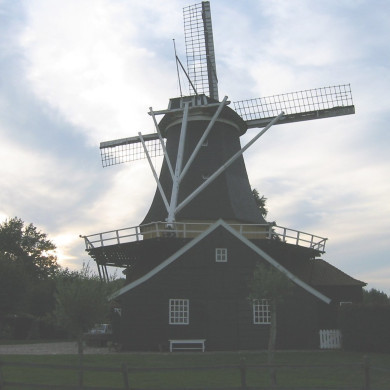 Rijksdienst voor het Cultureel Erfgoed: Terpstra, Frank