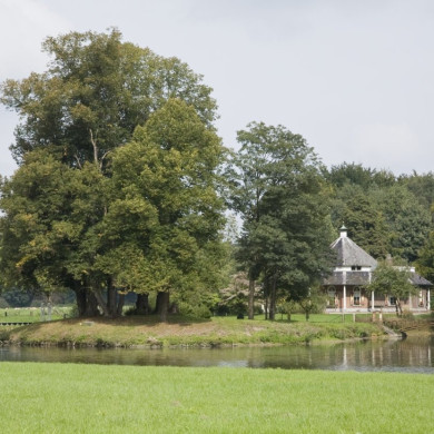 Rijksdienst voor het Cultureel Erfgoed: Booms, C.S. (Chris)