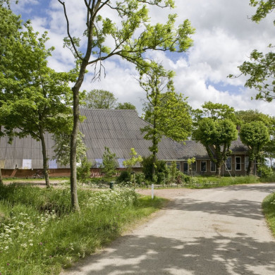 Rijksdienst voor het Cultureel Erfgoed: Booms, C.S. (Chris)