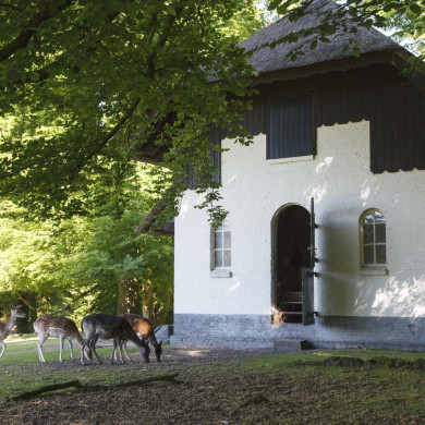 Rijksdienst voor het Cultureel Erfgoed: Jong, Nanette de