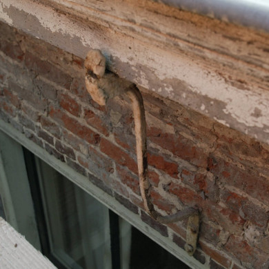 Rijksdienst voor het Cultureel Erfgoed: Galen, P. (Paul) van