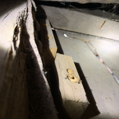 Rijksdienst voor het Cultureel Erfgoed: Bogers, Guido