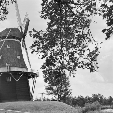 Rijksdienst voor het Cultureel Erfgoed: Wal, A.J. van der