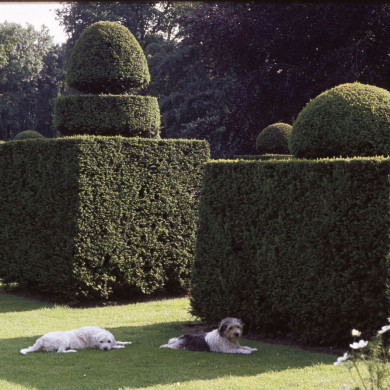 Rijksdienst voor het Cultureel Erfgoed: Heuff M. (Marijke)