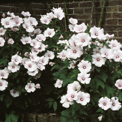 Rijksdienst voor het Cultureel Erfgoed: Heuff M. (Marijke)