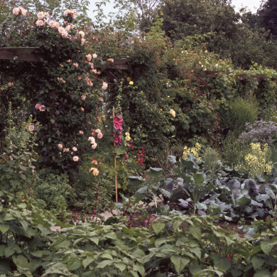Rijksdienst voor het Cultureel Erfgoed: Heuff M. (Marijke)