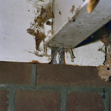 Rijksdienst voor het Cultureel Erfgoed: Wal, A.J. van der