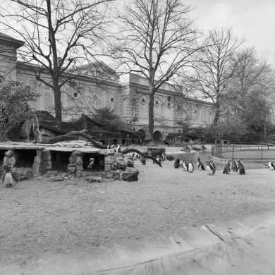 Rijksdienst voor het Cultureel Erfgoed: Dukker, G.J.