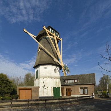 Rijksdienst voor het Cultureel Erfgoed: Galen, Jan van