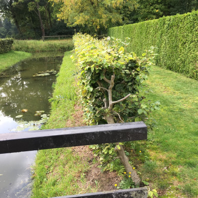 Rijksdienst voor het Cultureel Erfgoed: Wal, Henry van der