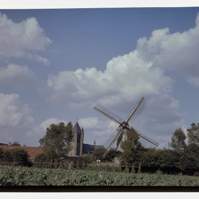 Rijksdienst voor het Cultureel Erfgoed