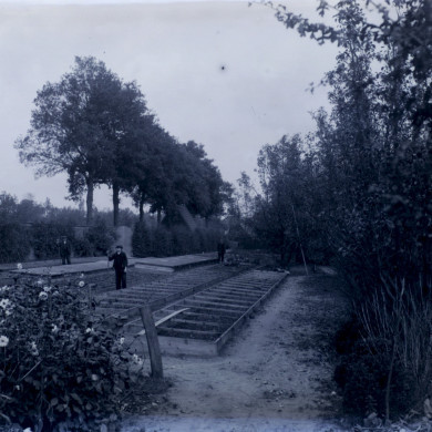 Rijksdienst voor het Cultureel Erfgoed: Brinio