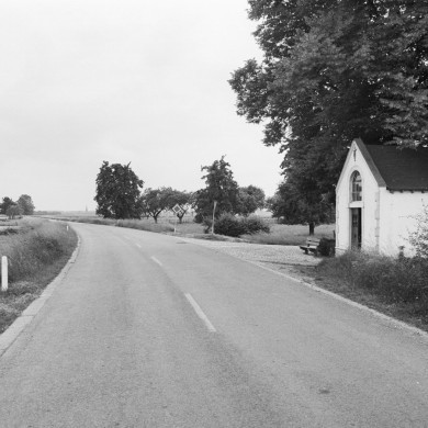 Rijksdienst voor het Cultureel Erfgoed: Tangel, L.M.