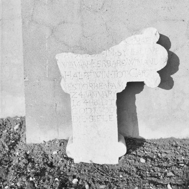 Rijksdienst voor het Cultureel Erfgoed: Galen, P. van