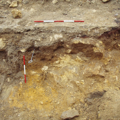 Rijksdienst voor het Cultureel Erfgoed