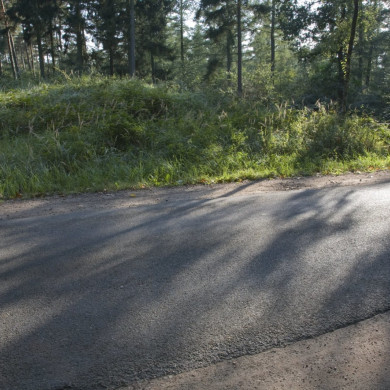 Rijksdienst voor het Cultureel Erfgoed