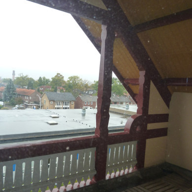 Rijksdienst voor het Cultureel Erfgoed: Wal, Henry van der