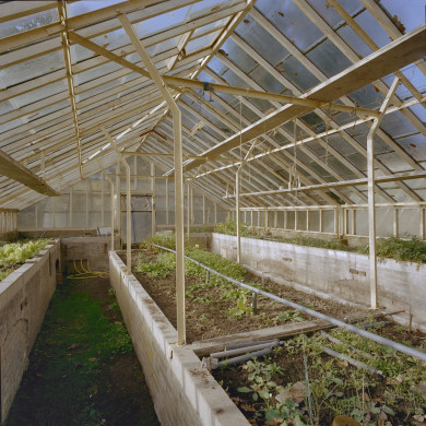 Rijksdienst voor het Cultureel Erfgoed: Koning, J.P. de