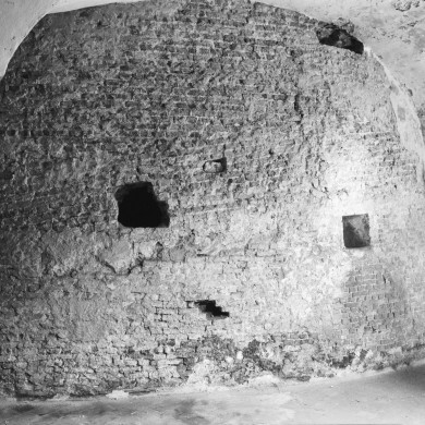 Rijksdienst voor het Cultureel Erfgoed: Delemarre, G.Th.