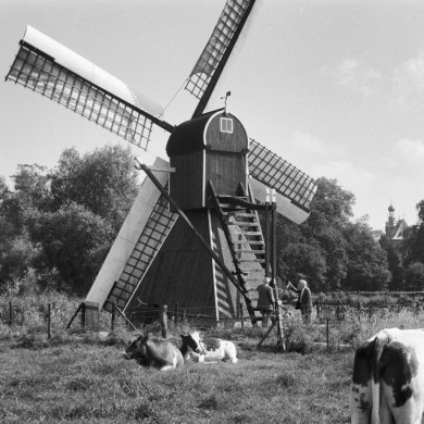 Rijksdienst voor het Cultureel Erfgoed: Heijdra, J.A.