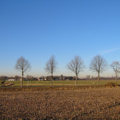 Rijksdienst voor het Cultureel Erfgoed: Terpstra, Frank