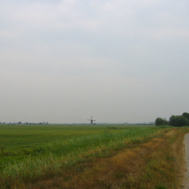 Rijksdienst voor het Cultureel Erfgoed: Terpstra, Frank