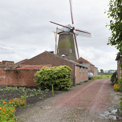 Rijksdienst voor het Cultureel Erfgoed: Booms, C.S. (Chris)