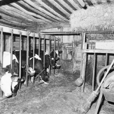 Rijksdienst voor het Cultureel Erfgoed: Wal, A.J. van der