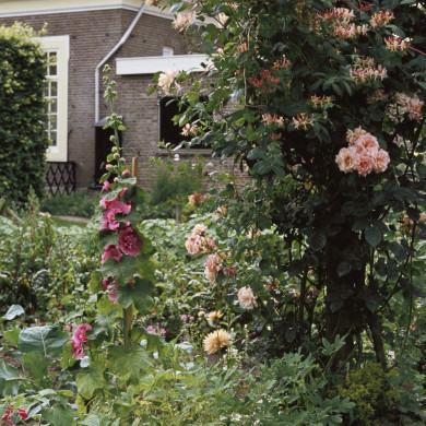 Rijksdienst voor het Cultureel Erfgoed: Heuff M. (Marijke)