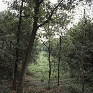 Rijksdienst voor het Cultureel Erfgoed: Roderburg, K. (Kris)
