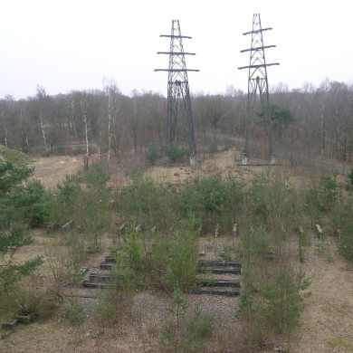 Rijksdienst voor het Cultureel Erfgoed: Wal, Henry van der