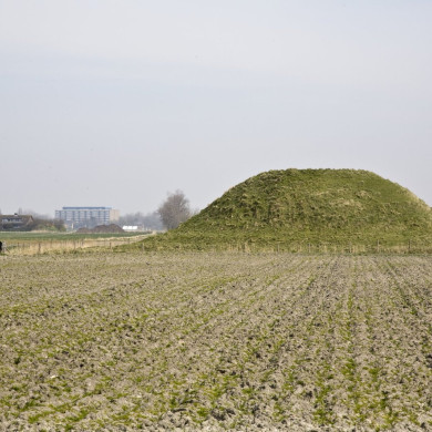 Rijksdienst voor het Cultureel Erfgoed: As, Bert van